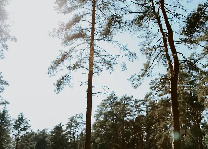 Szálloda Puhkekeskuse