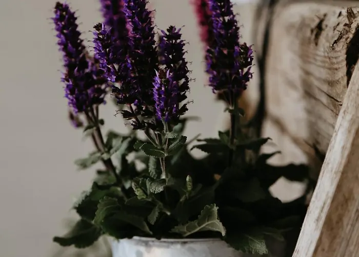 Szálloda Puhkekeskuse *