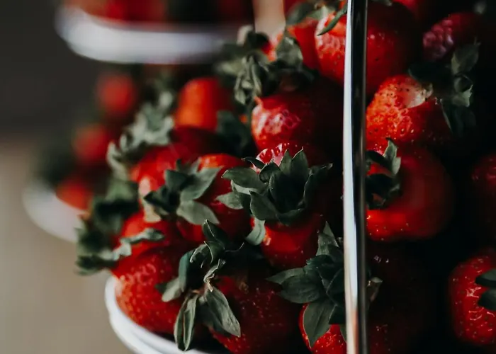 Szálloda Puhkekeskuse *